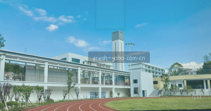 数据中台驱动业务决策模型
